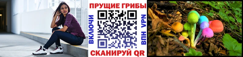 магазин  наркотиков  Нижние Серги  Псилоцибиновые грибы Psilocybine cubensis 